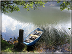 foto Lago della Serraia